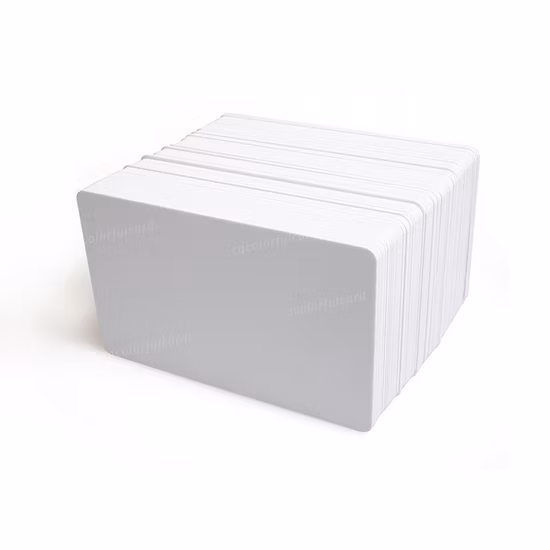 300 Oersteds Loco Mag Stripe Carte de vœux/Double face imprimable Jet d'encre vierge Mag Stripe PVC Carte bancaire